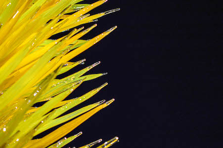 Glass Art by Chihuly